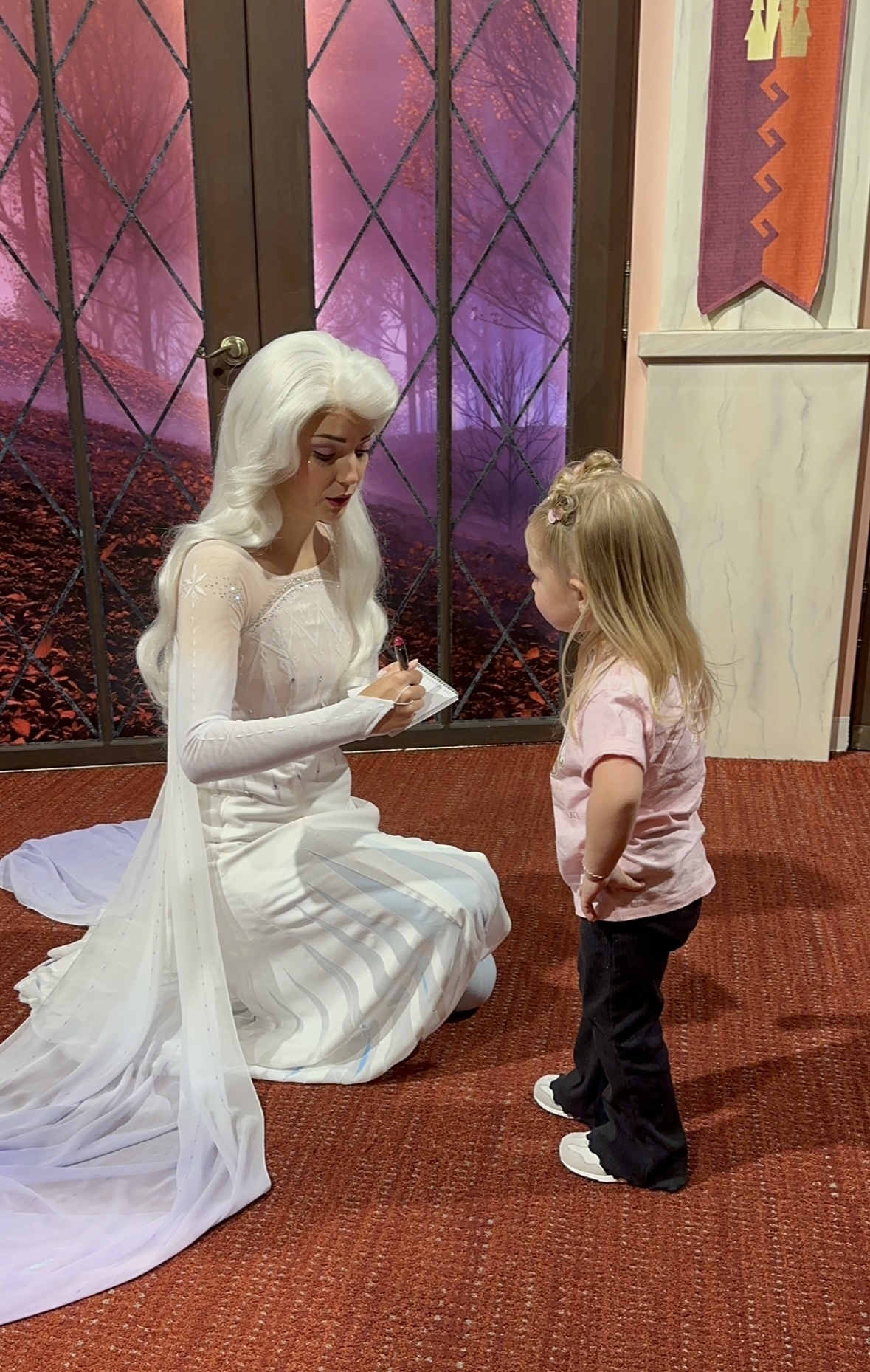 Meet Anna and Elsa in the Animation Building