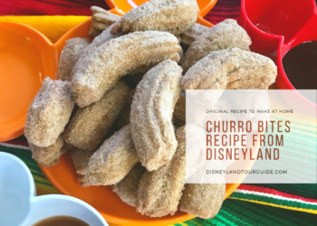 Original recipe for Churro bites  from Disneyland
