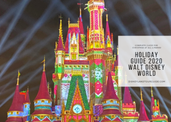 Holiday visit at  Walt Disney World   in 2020, a complete guide!