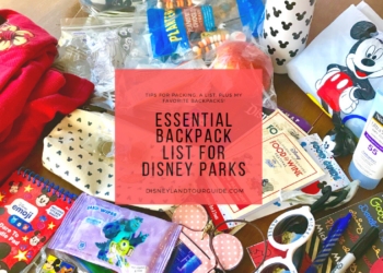 Essential backpack list for a visit to Disney parks