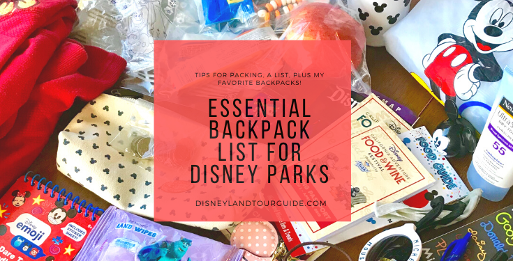 Essential backpack list for a visit to Disney parks