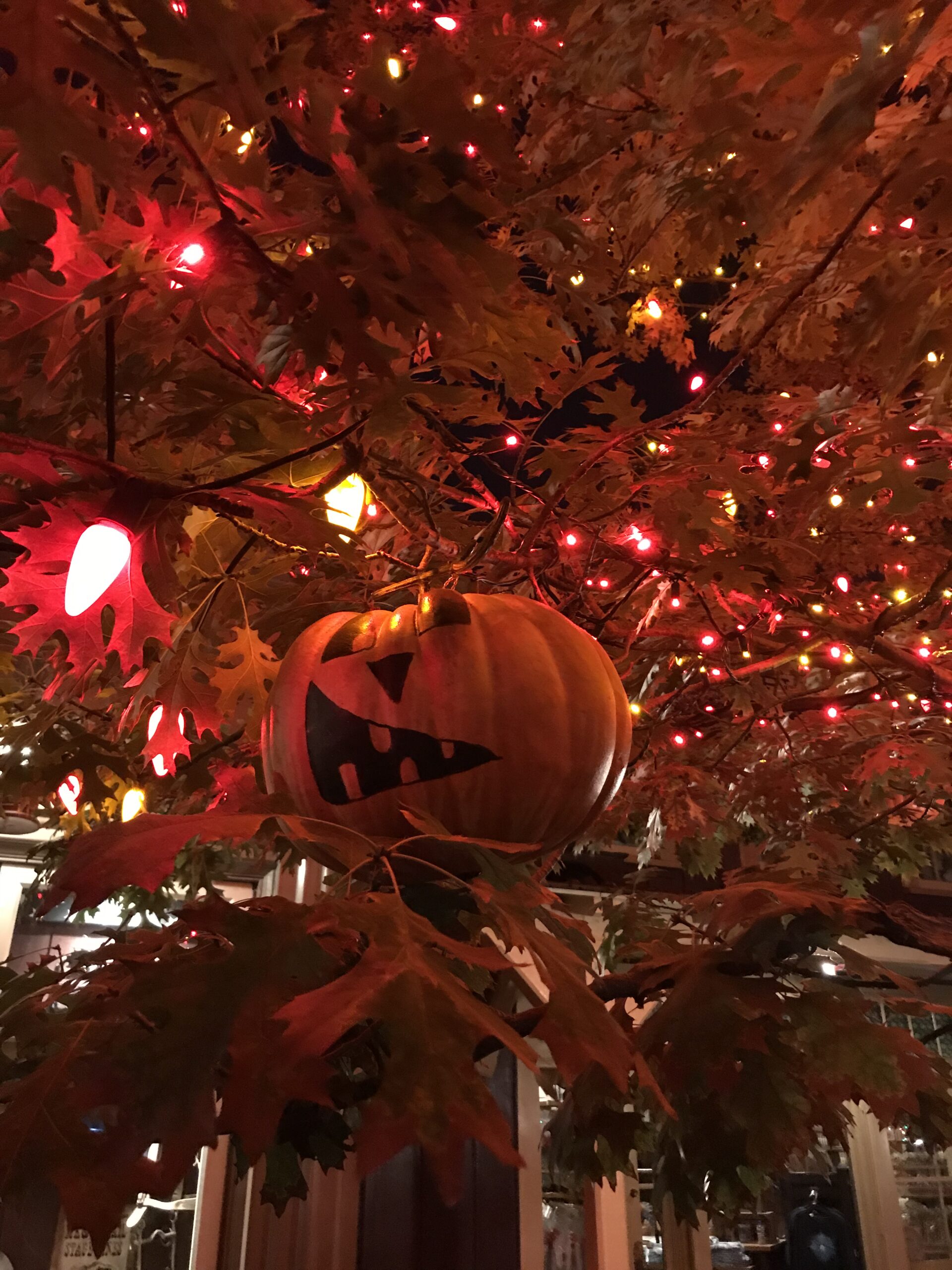 pumpkin in a tree decorated