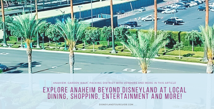 Explore Anaheim during Halloween season there’s so much to see and do!