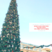 Disneyland Christmas Holiday Guide  – tips, must do’s and more