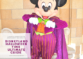 Halloween Time at Disneyland  complete guide!