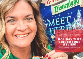 Review of  Holiday Time Guided Tour at Disneyland