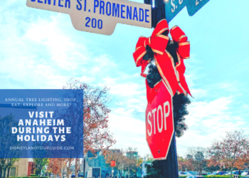 Visit Anaheim during the holiday season lots to see and do!