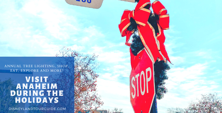 Visit Anaheim during the holiday season lots to see and do!