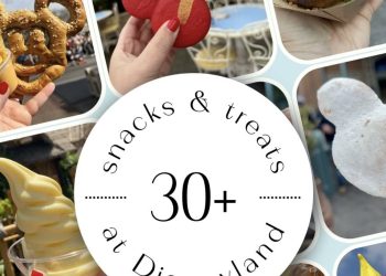 30+ Disneyland Snacks and Treats  available year round