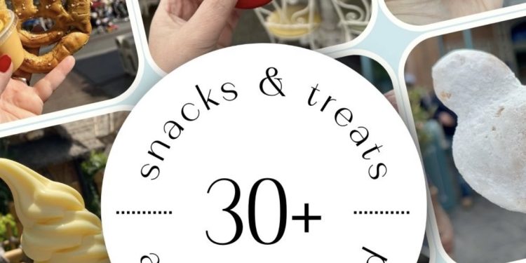 30+ Disneyland Snacks and Treats  available year round